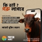 কোরবানী ব্যবস্থাপনায় প্রোটিন মার্কেটের ব্যতিক্রমী উদ্যোগ
